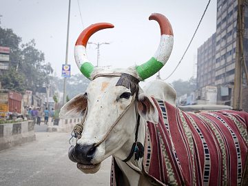 Zdjęcie kierunku: Delhi